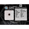 Natural Black Diamond 1.76 Ct. Round Brilliant Cut 6.67 x 5.31 Mm. From Belgium