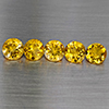 Natural Yellow Citrine 6.02 Ct. 5 Pcs Round Shape 7.1 Mm Gemstone from Brazil Natural Yellow Citrine 6.02 Ct. 5 Pcs Round Shape 7.1 Mm Gemstone from Brazil