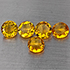 Natural Yellow Citrine 5.03 Ct. 5 Pcs Round Shape 6.6 Mm Gemstone from Brazil Natural Yellow Citrine 5.03 Ct. 5 Pcs Round Shape 6.6 Mm Gemstone from Brazil