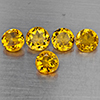 Natural Yellow Citrine 5.68 Ct. 5 Pcs Round Shape 7.2 Mm Gemstone from Brazil Natural Yellow Citrine 5.68 Ct. 5 Pcs Round Shape 7.2 Mm Gemstone from Brazil