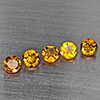 Natural Yellow Citrine 1.98 Ct. 5 Pcs Round Shape 5.1 Mm Gemstones From Brazil Natural Yellow Citrine 1.98 Ct. 5 Pcs Round Shape 5.1 Mm Gemstones From Brazil