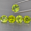 Natural Green Peridot 4.07 Ct. 5 Pcs Round Shape 6 Mm Gemstones from Pakistan Natural Green Peridot 4.07 Ct. 5 Pcs Round Shape 6 Mm Gemstones from Pakistan