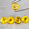 à ¹ŒNatural Yellow Sapphrie 0.95 Ct. 5 Pcs Round Shape 3.5 Mm Gemstone from Thailand à ¹ŒNatural Yellow Sapphrie 0.95 Ct. 5 Pcs Round Shape 3.5 Mm Gemstone from Thailand