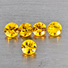 Natural Yellow Songea Sapphire 0.78 Ct. 5 Pcs Round Diamond Cut 3.3 Mm Gemstones From Tanzania Natural Yellow Songea Sapphire 0.78 Ct. 5 Pcs Round Diamond Cut 3.3 Mm Gemstones From Tanzania