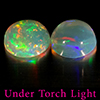 Natural Multi Color Opal 1.70 Ct. 2 Pcs Round Cabochon Shape 7.3 Mm Gemstones Natural Multi Color Opal 1.70 Ct. 2 Pcs Round Cabochon Shape 7.3 Mm Gemstones