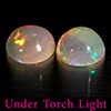 Natural Multi Color Opal 1.34 Ct. 2 Pcs Round Cabochon Shape 6.9 Mm Gemstones Natural Multi Color Opal 1.34 Ct. 2 Pcs Round Cabochon Shape 6.9 Mm Gemstones