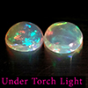 Natural Multi Color Opal 1.20 Ct. 2 Pcs Round Cabochon Shape 7.1 Mm Gemstones Natural Multi Color Opal 1.20 Ct. 2 Pcs Round Cabochon Shape 7.1 Mm Gemstones