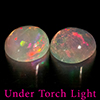 Natural Multi Color Opal 1.38 Ct. 2 Pcs Round Cabochon Shape 6.8 Mm Gemstones Natural Multi Color Opal 1.38 Ct. 2 Pcs Round Cabochon Shape 6.8 Mm Gemstones