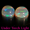 Natural Multi Color Opal 1.69 Ct. 2 Pcs Round Cabochon Shape 6.8 Mm Gemstones Natural Multi Color Opal 1.69 Ct. 2 Pcs Round Cabochon Shape 6.8 Mm Gemstones